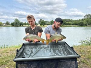 Common Carp
