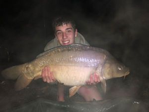 Mirror Carp