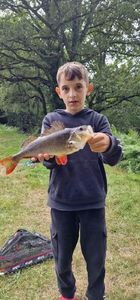 European Perch