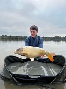 Koï Fish