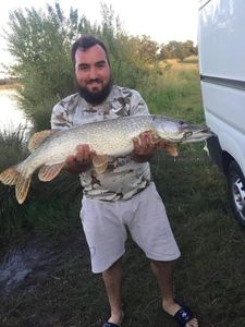 Northern Pike