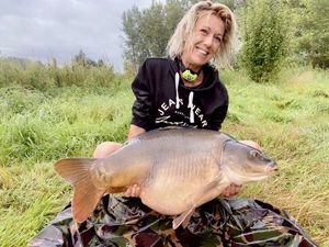 Common Carp
