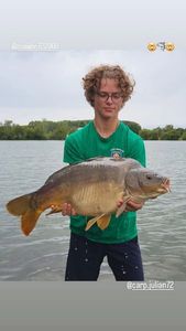 Mirror Carp