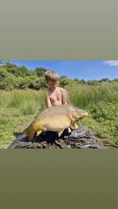 Mirror Carp