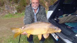 Mirror Carp