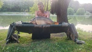 Mirror Carp