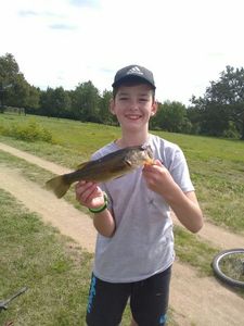Largemouth Bass