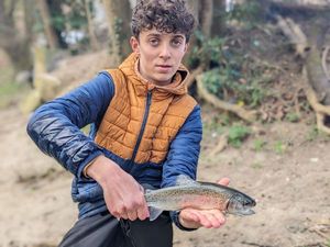 Rainbow Trout