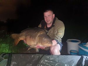 Mirror Carp