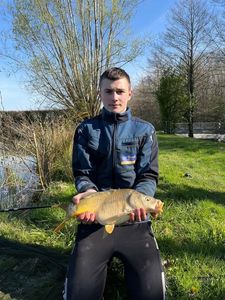 Mirror Carp