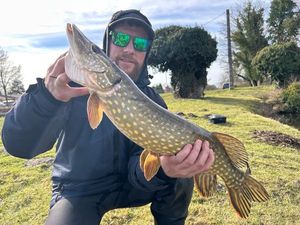 Northern Pike