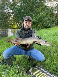 Northern Pike