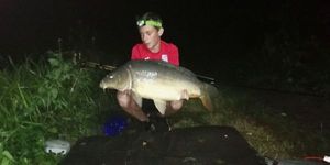 Mirror Carp
