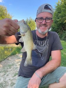 Largemouth Bass