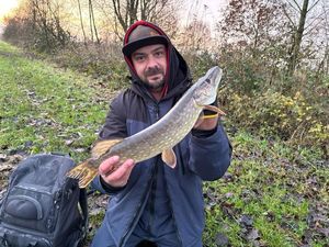 Northern Pike