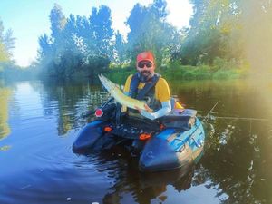 Northern Pike