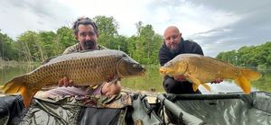 Mirror Carp