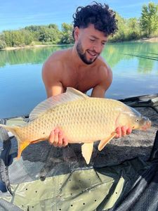 Common Carp
