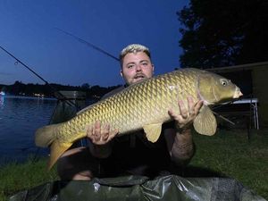 Common Carp