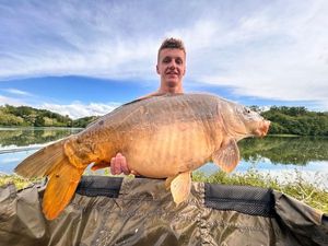 Mirror Carp