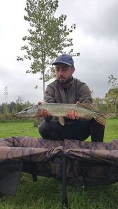 Northern Pike