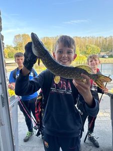 Northern Pike