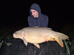 Mirror Carp