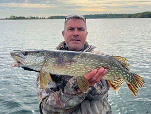 Northern Pike