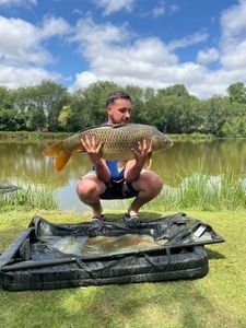 Common Carp