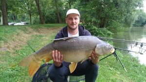 Mirror Carp