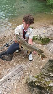 Northern Pike