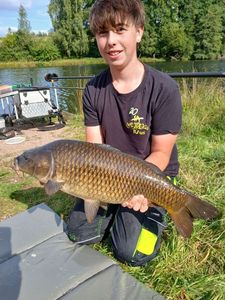 Common Carp