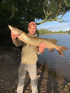 Northern Pike