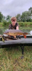 Common Carp