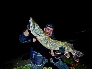 Northern Pike