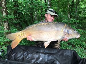 Mirror Carp