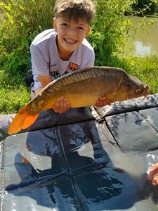 Mirror Carp