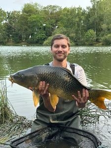 Mirror Carp