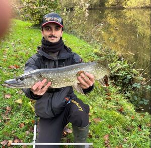 Northern Pike