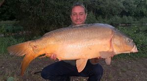 Mirror Carp