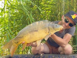 Mirror Carp caught by auberge du lac