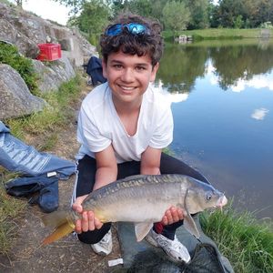 Mirror Carp
