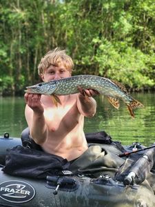 Northern Pike