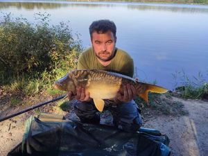 Mirror Carp