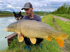 Mirror Carp