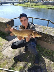 Barbel