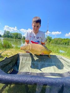 Mirror Carp
