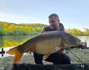 Leather Carp