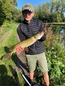 Northern Pike