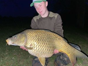 Common Carp